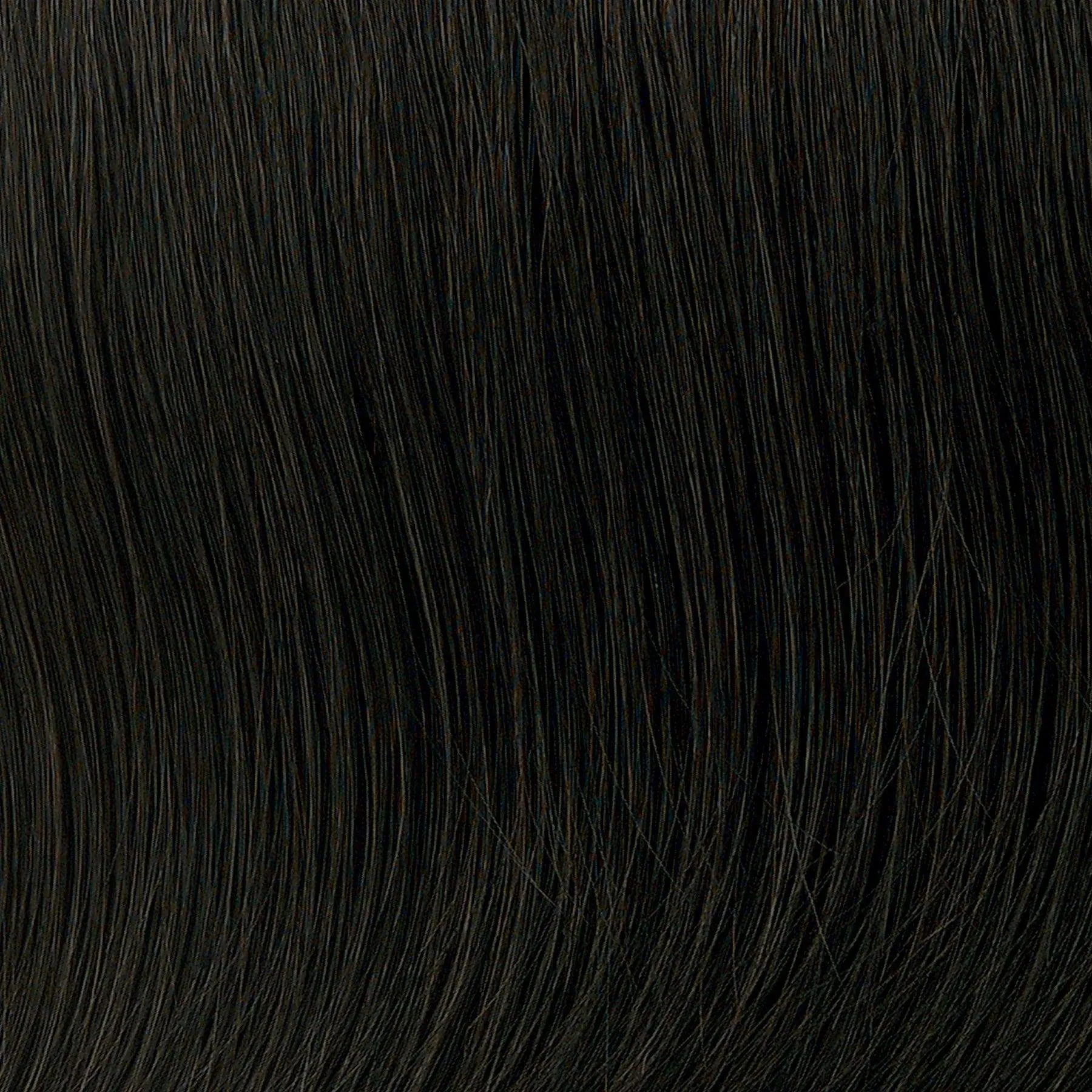 Inspiration Large Wig by Toni Brattin | Heat Friendly Synthetic (Basic Cap)
