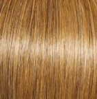 Joy  Wig by Gabor | Synthetic (Traditional Cap)