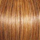 Joy  Wig by Gabor | Synthetic (Traditional Cap)