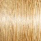 Joy  Wig by Gabor | Synthetic (Traditional Cap)